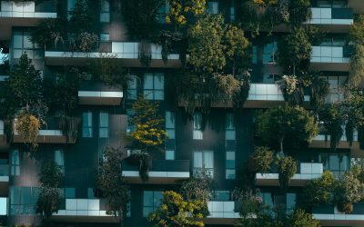 Custom Jetson Carrier Boards: The Key to Unleashing AI and ML Potential